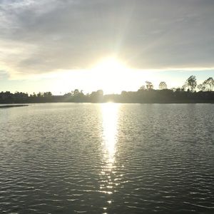 Meet your Posher, Noemi